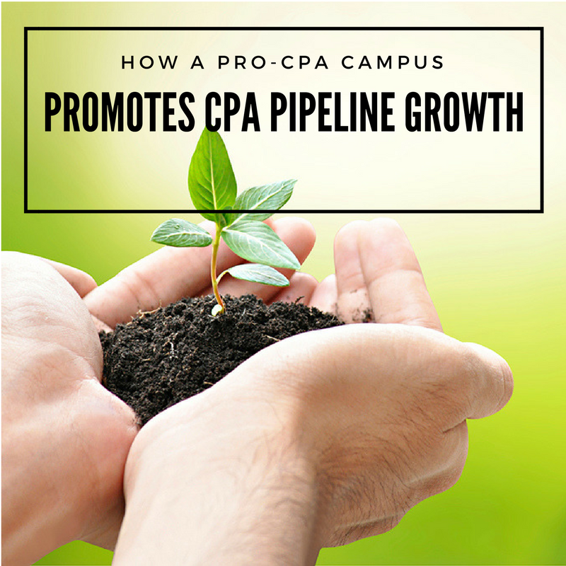 pro-cpa-campus-culture-promotes-cpa-pipeline-growth-aicpa