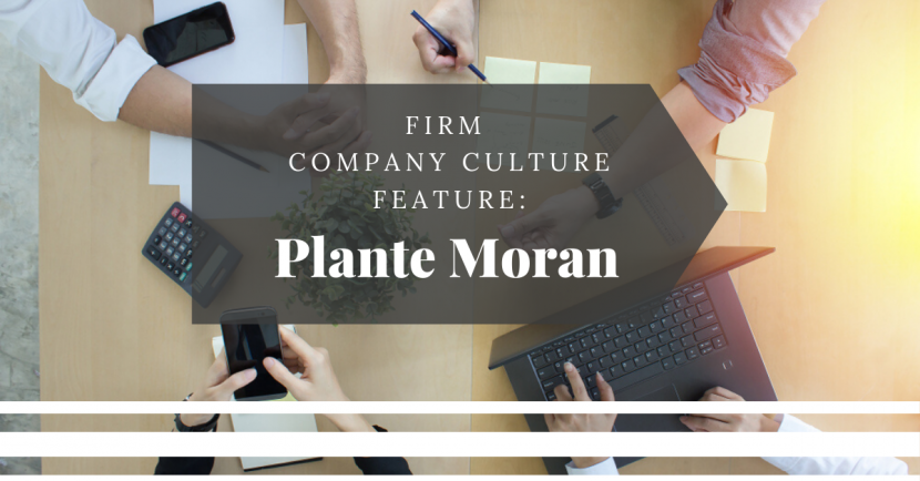 Plante moran erta martaba