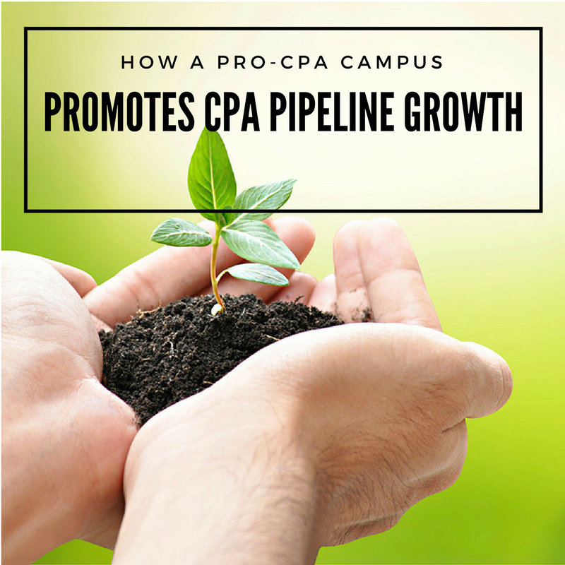 cpa-pipeline-growth-aicpa