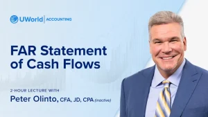 [43]-LC-Far-Statement-Cashflows